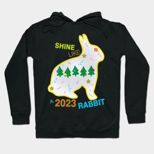 Shine Like A Rabbit Hoodie